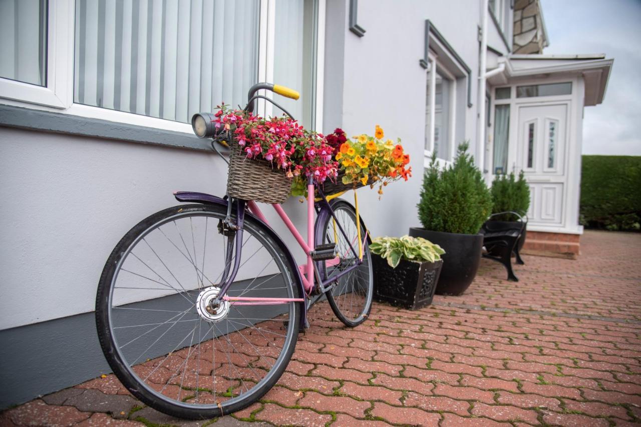 Drom Na Gainne B&B Carrickmore Eksteriør billede